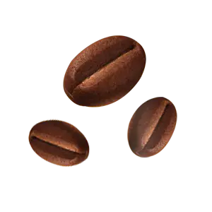 Biscotti